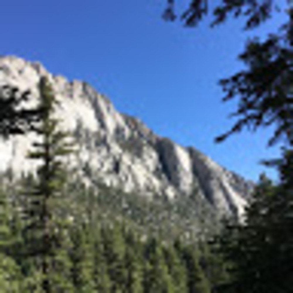 Meet your Posher, Isela